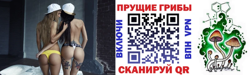 наркотики  Демидов  кракен ТОР  Псилоцибиновые грибы Psilocybine cubensis 